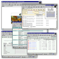 M&oacute;dulo Visualizador